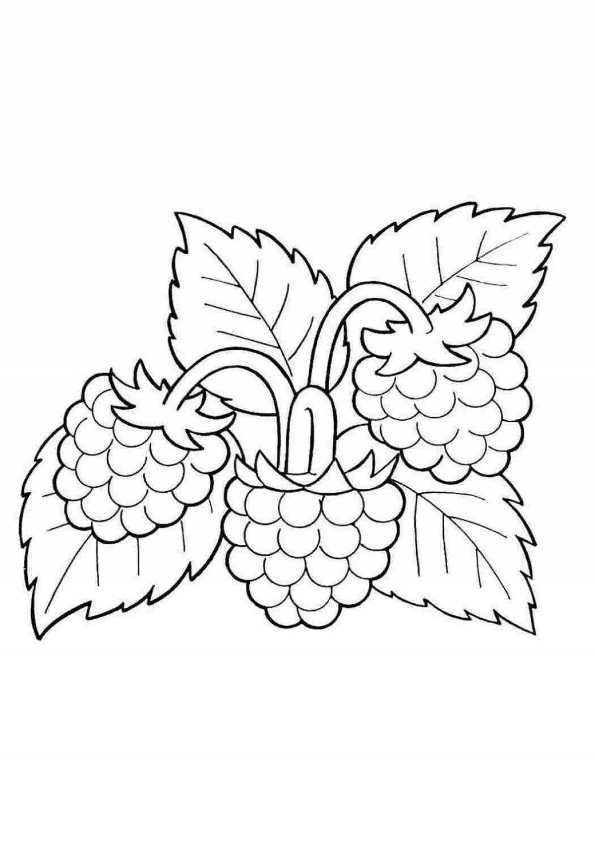 Малина ((raspberries)) | раскраски для детей 20 разукрашек