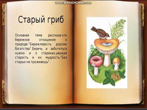 М.м. пришвин
						старый гриб