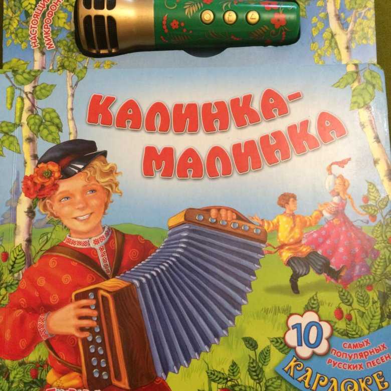 Текст песни калинка малинка. Караоке Калинка Малинка. Калинка Малинка картинки. Караоке Калинка Малинка для детей. Книжка для девочек про Калинку.