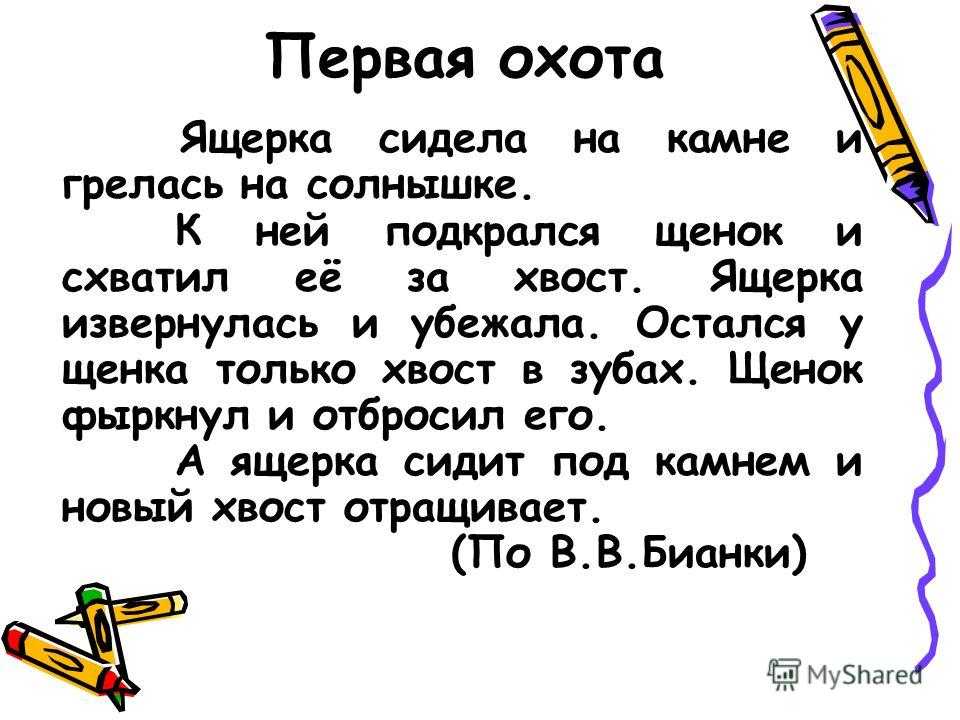 Бианки «первая охота»