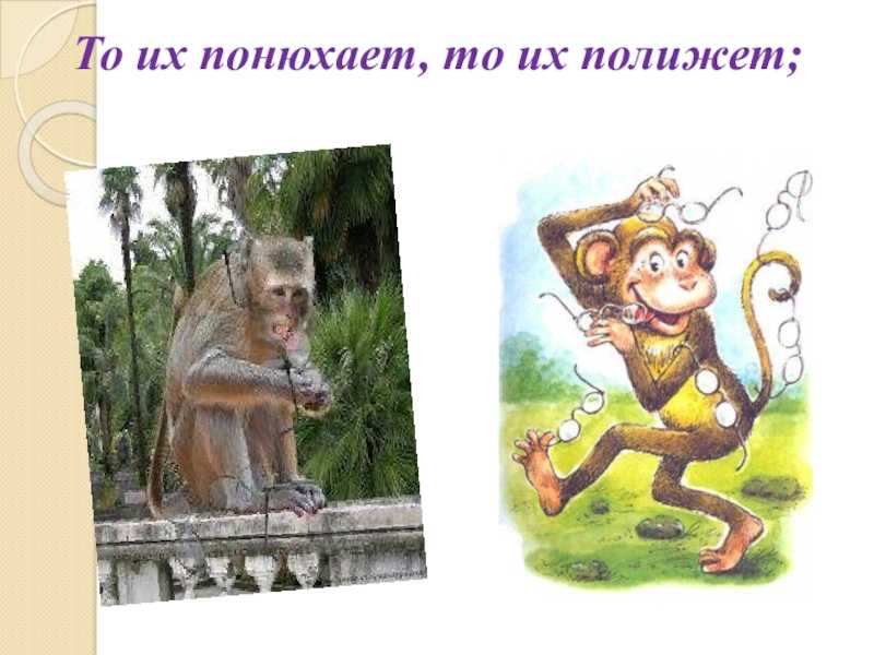 Иван крылов — зеркало и обезьяна (басня): стих