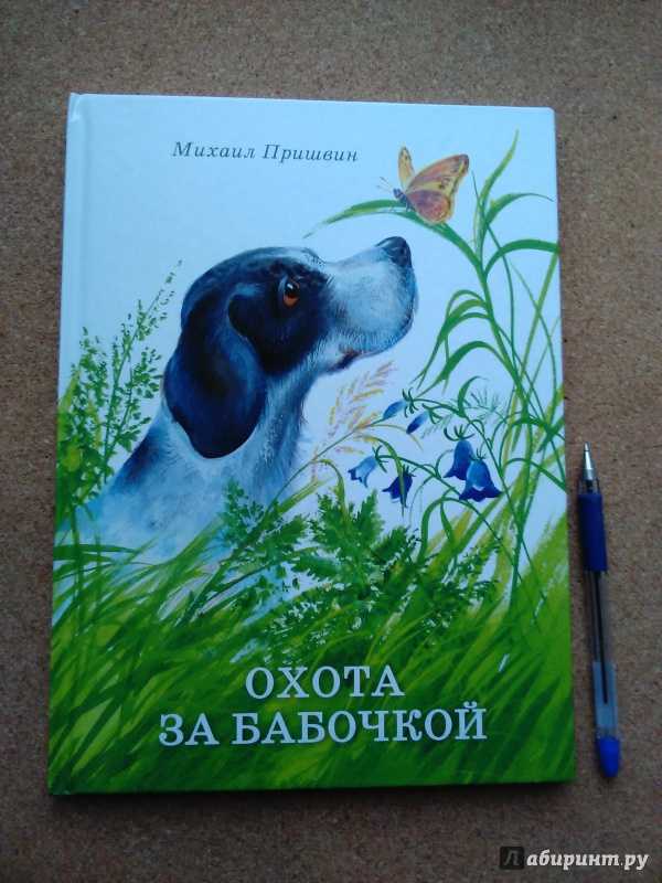 Охота за бабочкой читать онлайн