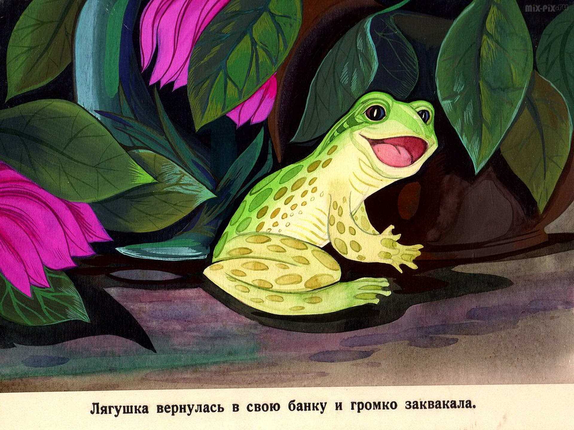 Константин паустовский ★ квакша читать книгу онлайн бесплатно