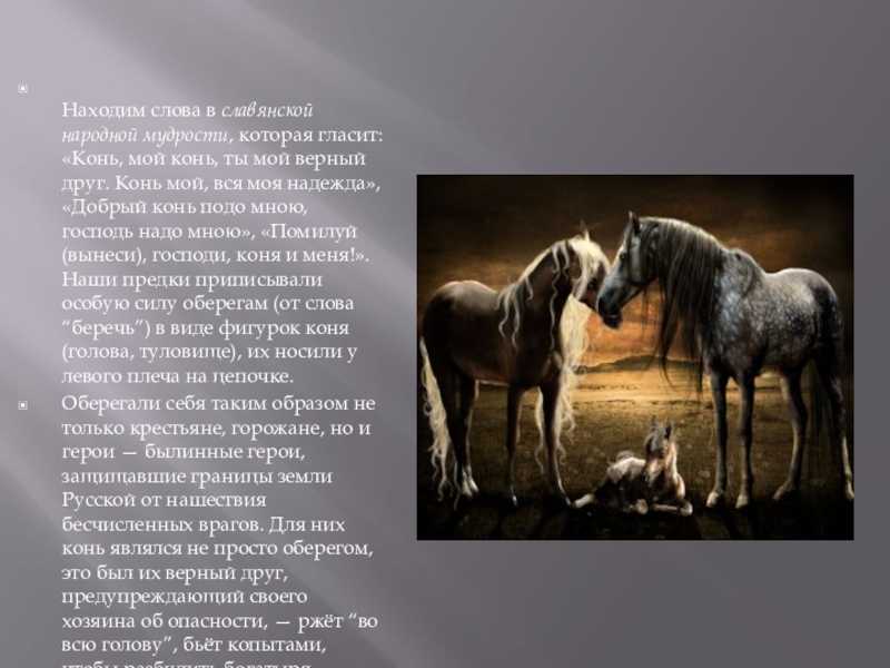 Русские народные песни кони. Лошадь помощник человека. Лошадь друг человека. Текст про лошадей. Конь верный друг.