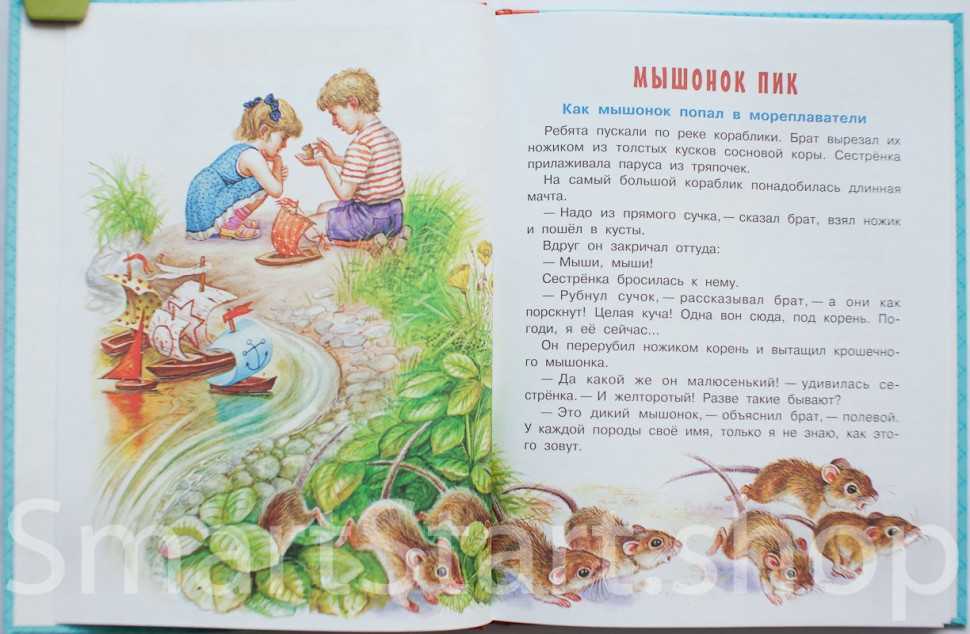 Рассказы бианки для 1 класса