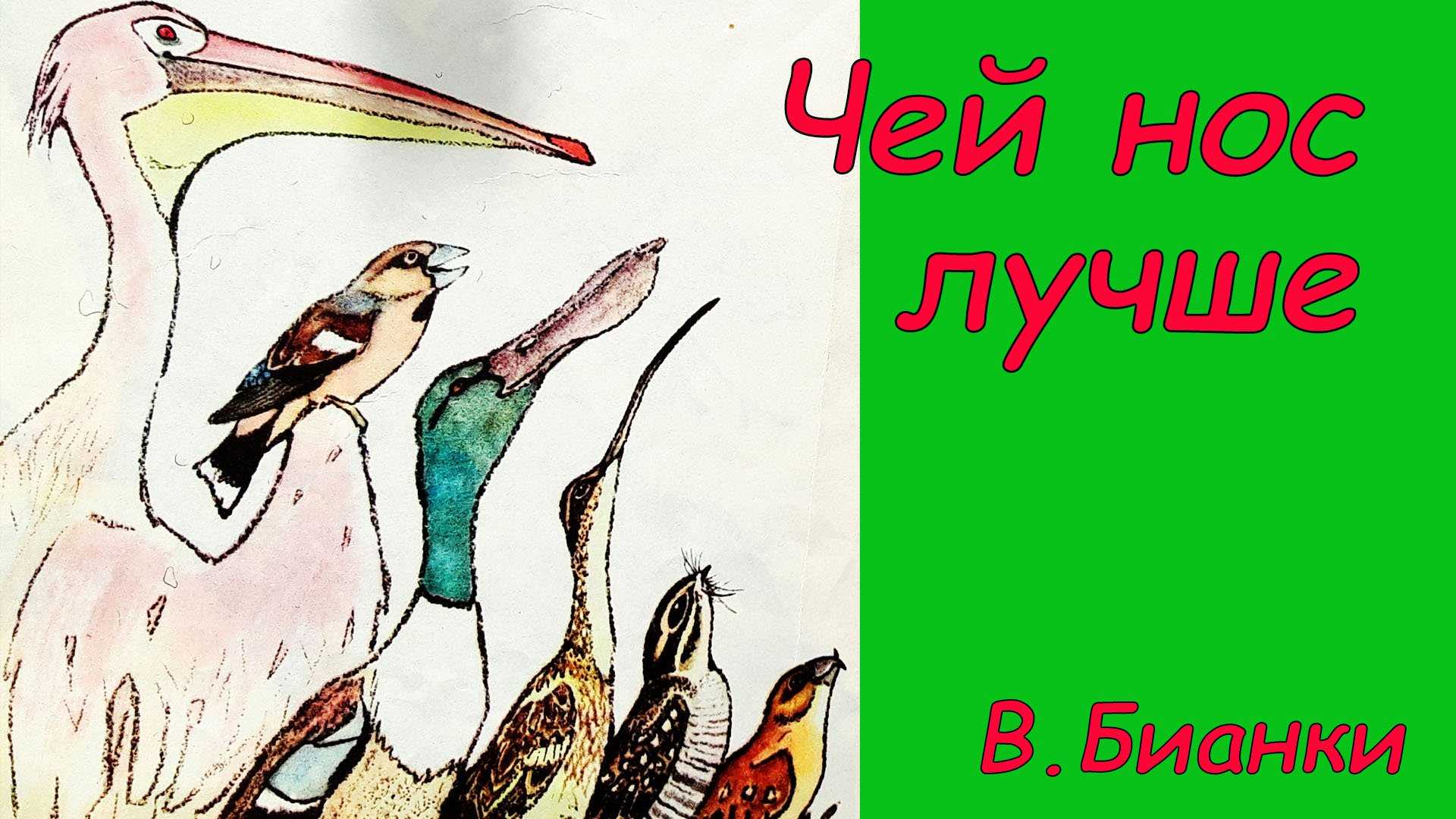Слушайте с удовольствием познавательный аудио рассказ Виталия Чей нос лучше Мы собираем для вас лучшие аудиосказки