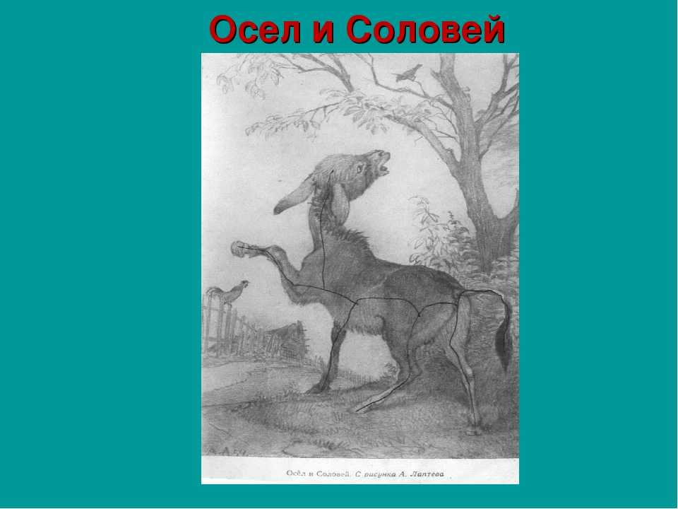 Осел и соловей 6 класс. Иллюстрация осел и Соловей.