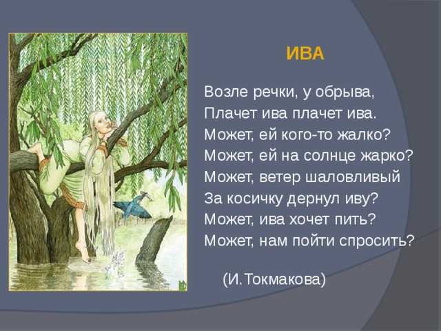 Раскраски деревьев для детей