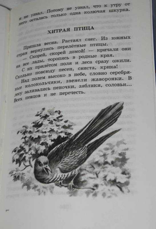 Георгий скребицкий. рассказы о природе. | страница 4