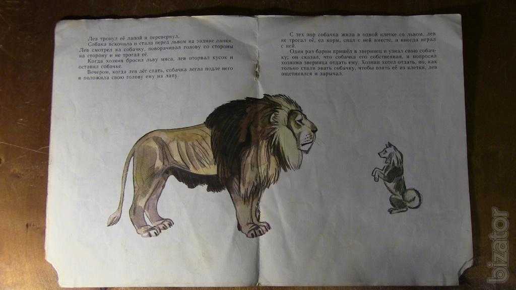 Лев и собачка