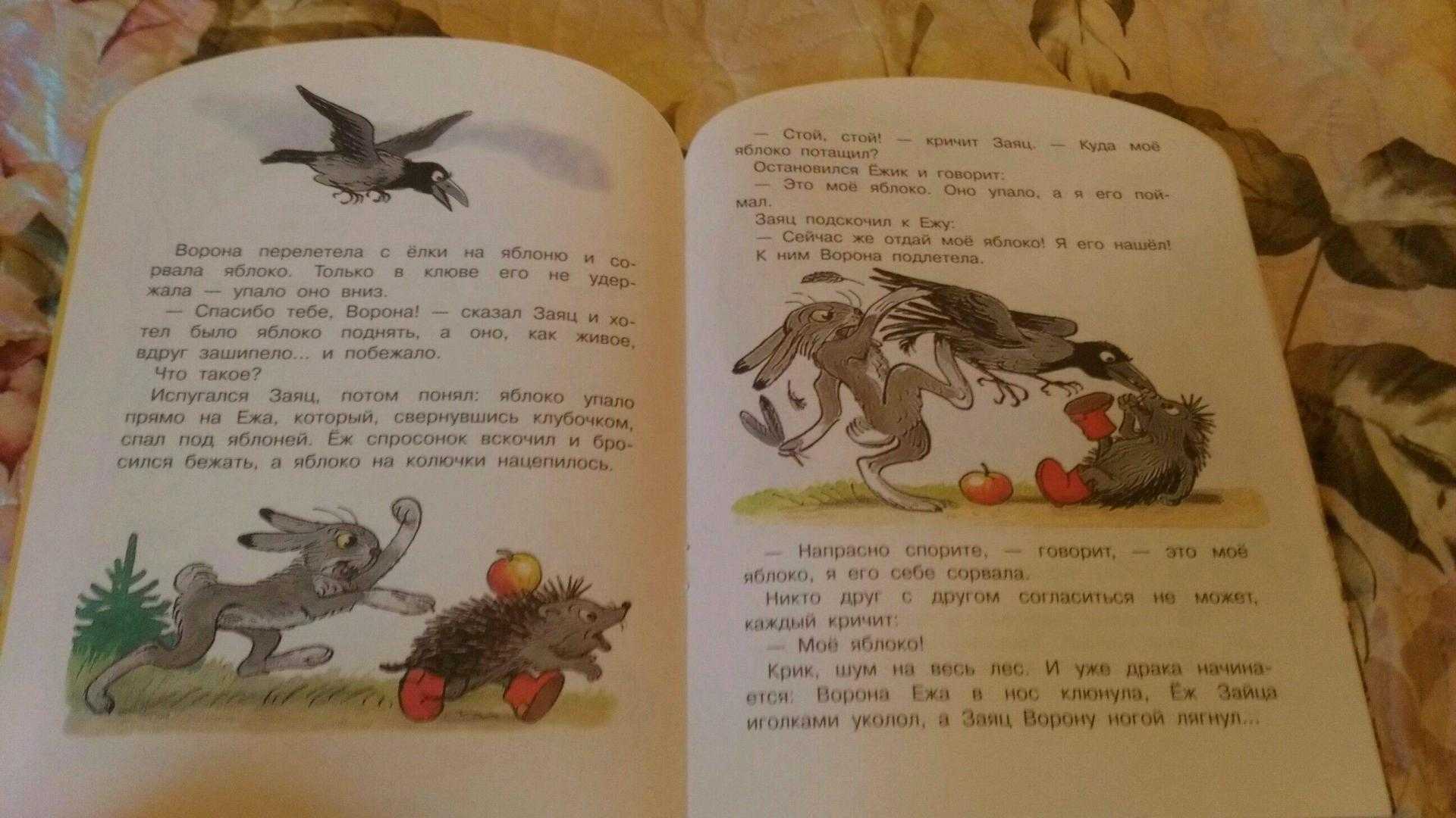 Сказка яблоко автор. Сутеев яблоко книга. Текст сказки яблоко Сутеев. Иллюстрации к книге Сутеева яблоко.
