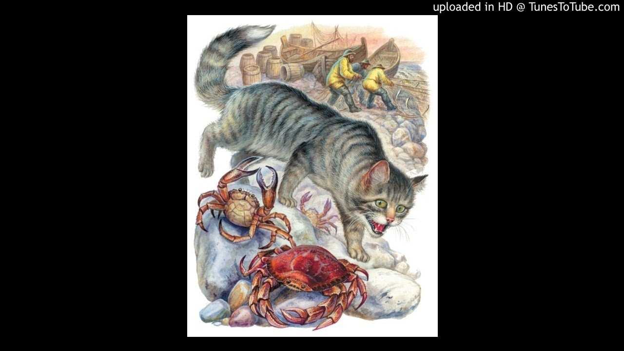 Беспризорная кошка — житков борис степанович